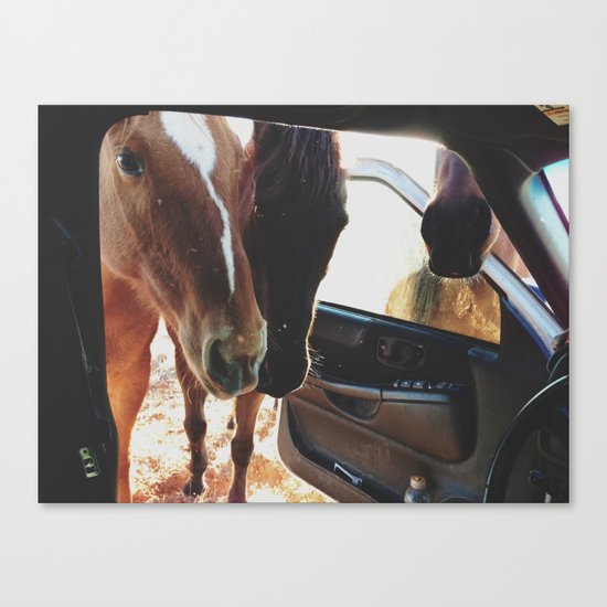 Car Horses Canvas Print