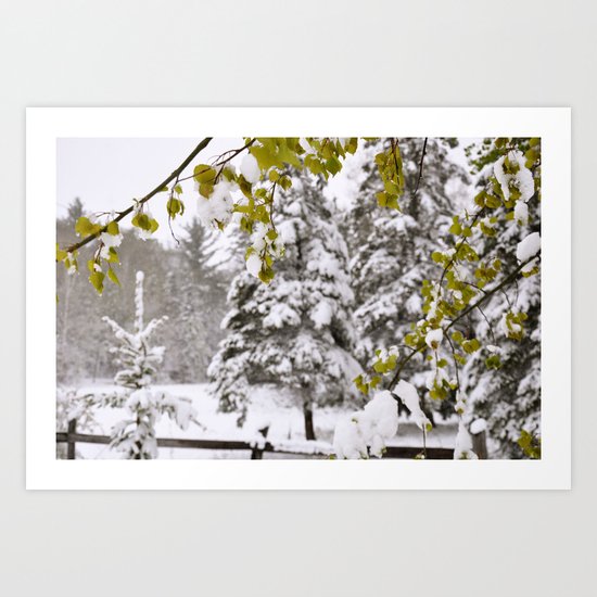 Contrary Art Print