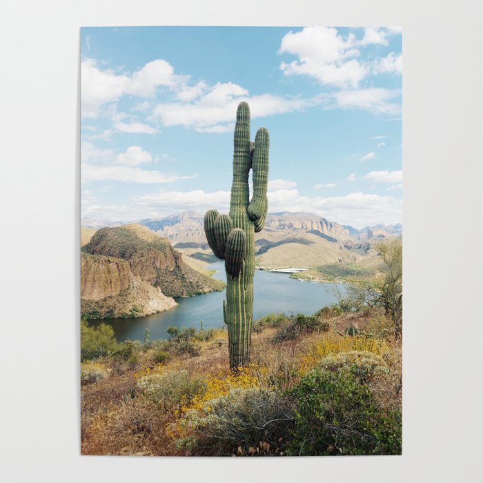 Arizona Saguaro Poster | Photography, Arizona, Desert, Lake, Canyon-lake, Mountains, Cactus, Cacti, Saguaro, Outdoors