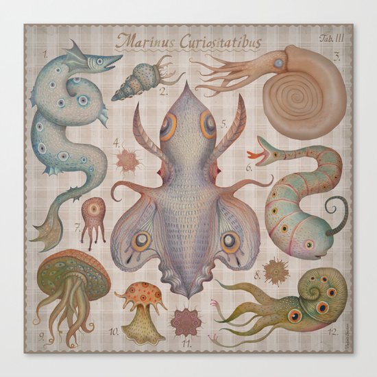 Marine Curiosities III Canvas Print