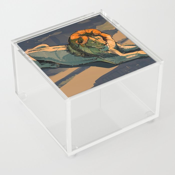 The relaxing Lion Acrylic Box