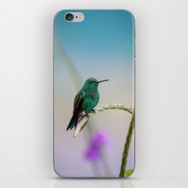 Costa Rican Hummingbird iPhone Skin