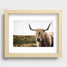 Highland Cow - color Recessed Framed Print