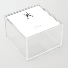 Spider. Minimal 21. Acrylic Box