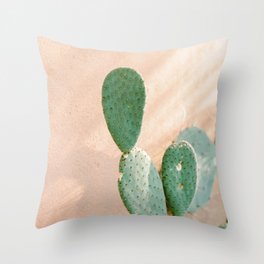 Cactus on light pink wall with the shun shining in a botanical greenhouse in Amsterdam Throw Pillow