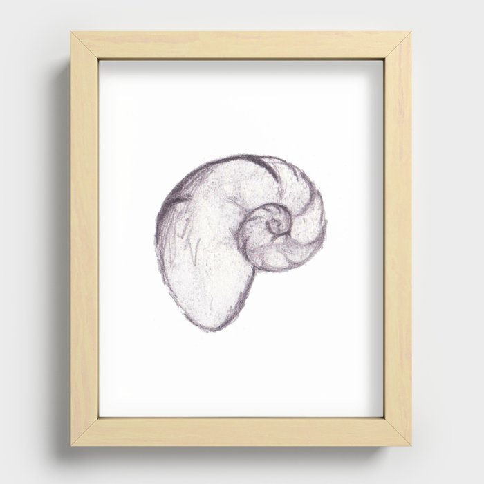 Nautilus Sketch Recessed Framed Print