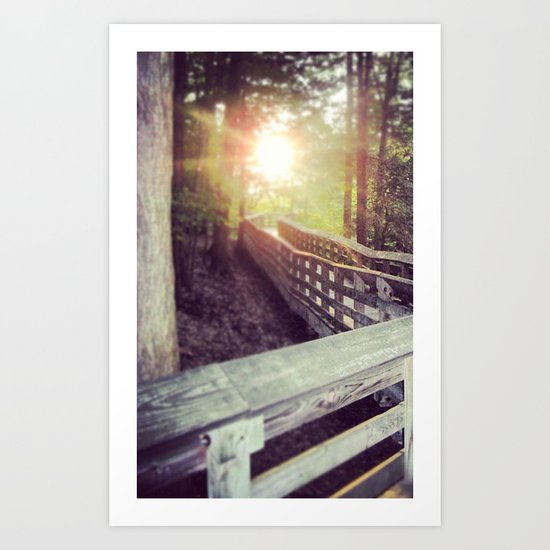 Sun in the Park Art Print