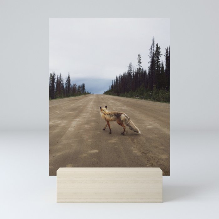 Road Fox Mini Art Print