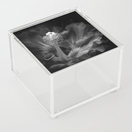 Love Your Solitude Acrylic Box