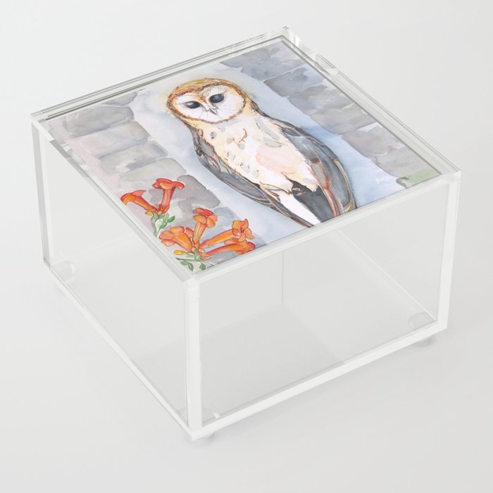 Observer Owl Acrylic Box