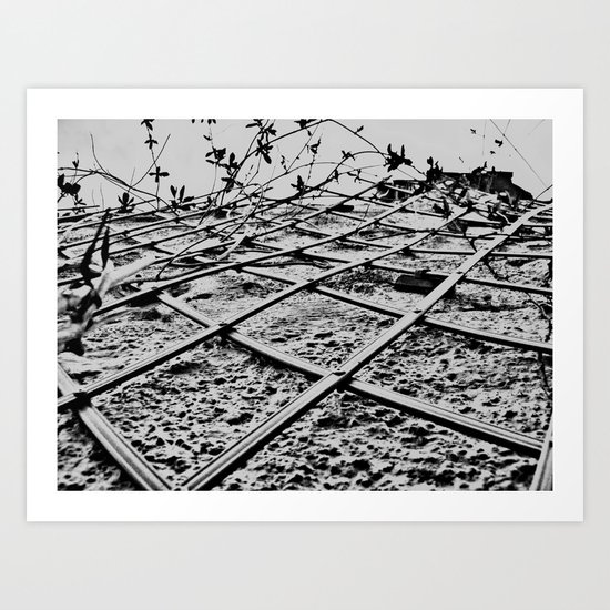 Lines... Art Print
