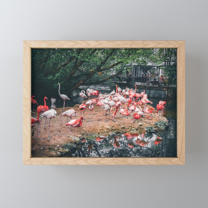 Flamingos by the Lake: The Graceful Wonders of Nature's Pink Beauties Framed Mini Art Print