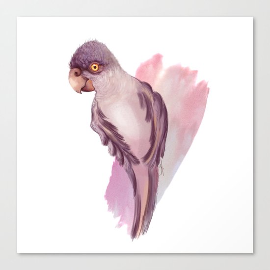 Hooray! Canvas Print