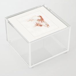 Back legs of a cow (1813) drawing in high resolution by Jean Bernard Acrylic Box
