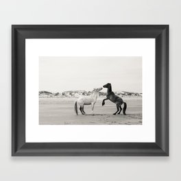 Wild Horses 4 - Black and White Framed Art Print