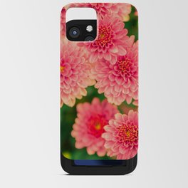 Pink Chrysanthemums 2 iPhone Card Case