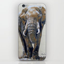African Elephant iPhone Skin
