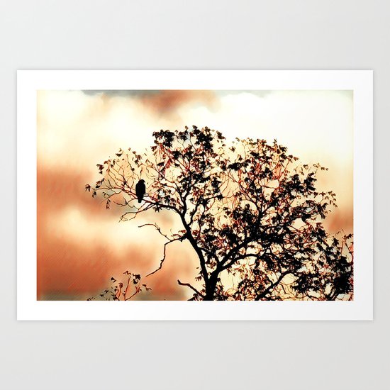Day Dreamer Art Print