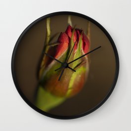 Rose - Rosa - Rosae Wall Clock