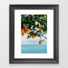 Amalfi Coast Oranges IV Framed Art Print