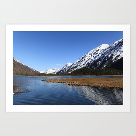 Tern Lake Art Print