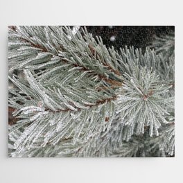 Frosted Pine Needles Jigsaw Puzzle