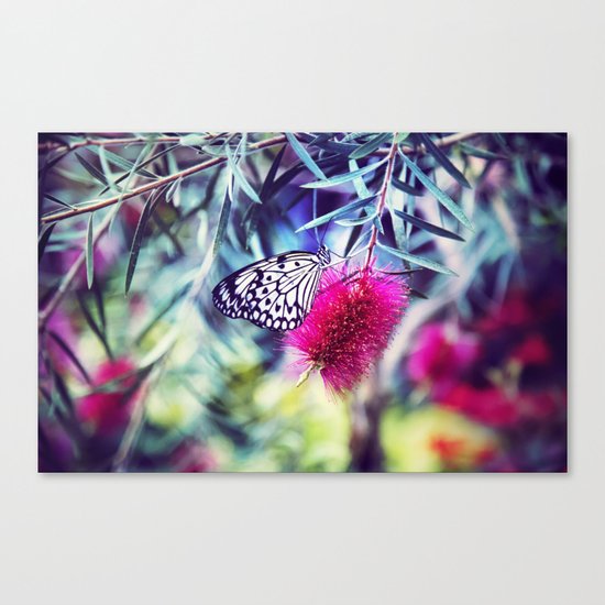 Butterfly Canvas Print