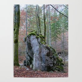 Rock in the forest #1 #wall #decor #art #society6 Poster