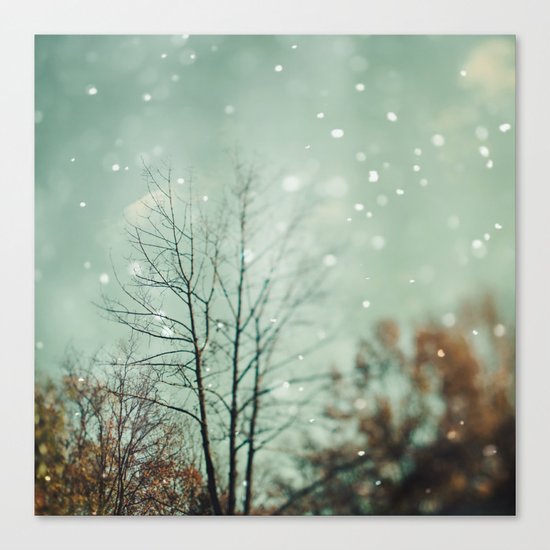 First Snowfall Canvas Print