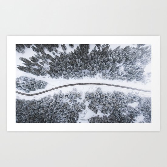 road through forest Art Print