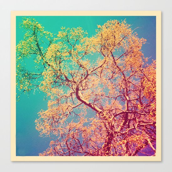 Indio Canvas Print