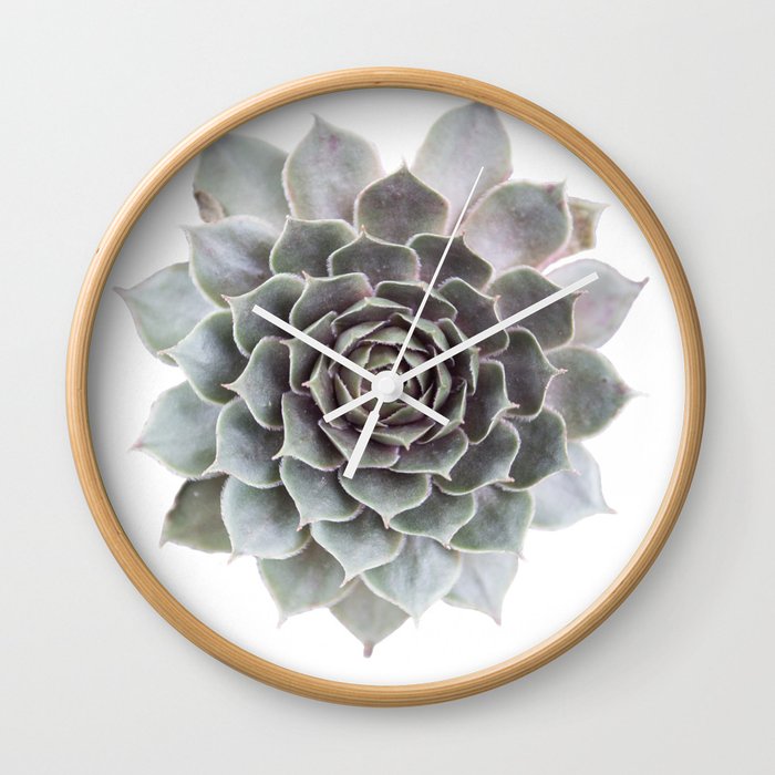 Succulent burst Wall Clock