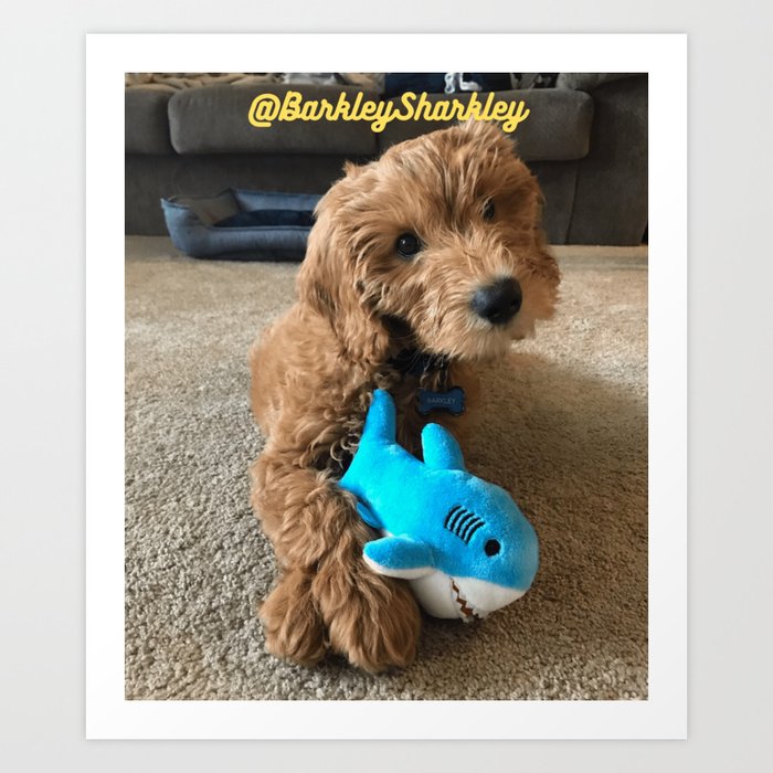 Barkley With Shark Toy Art Print