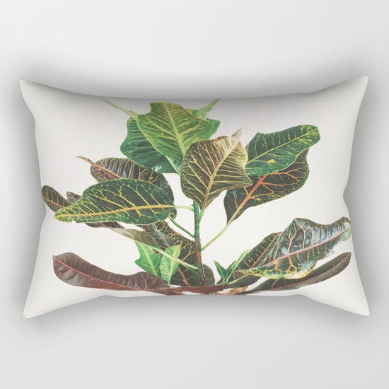 Croton Rectangular Pillow