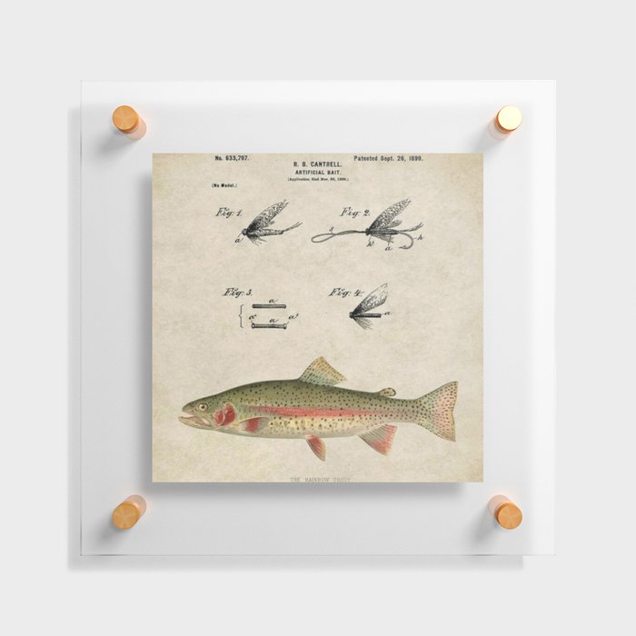 Vintage Rainbow Trout Fly Fishing Lure Patent Game Fish Identification  Chart Floating Acrylic Print by Atlantic Coast Arts and Paintings