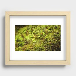 Forest Floor Recessed Framed Print