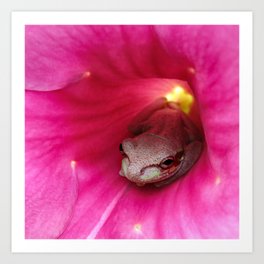 Frog Series: Ma Vi En Rosa Art Print