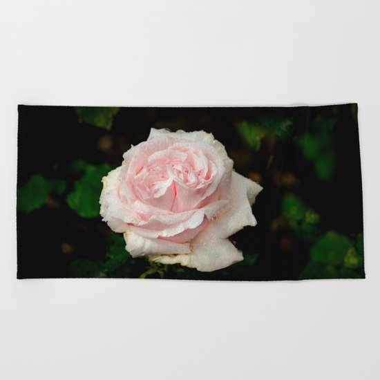 Rose twins with droplets Beach Towel