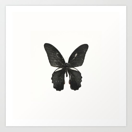 Black Butterfly Art Print