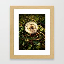 Dandelion Framed Art Print