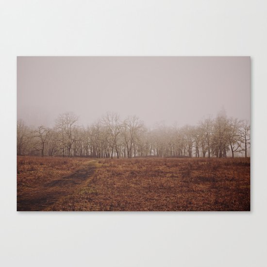 Foggy Trail to the Trees Canvas Print