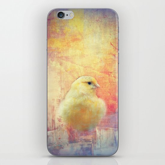 Birdie iPhone & iPod Skin