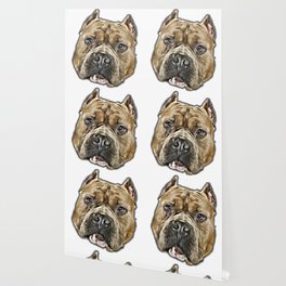 society6