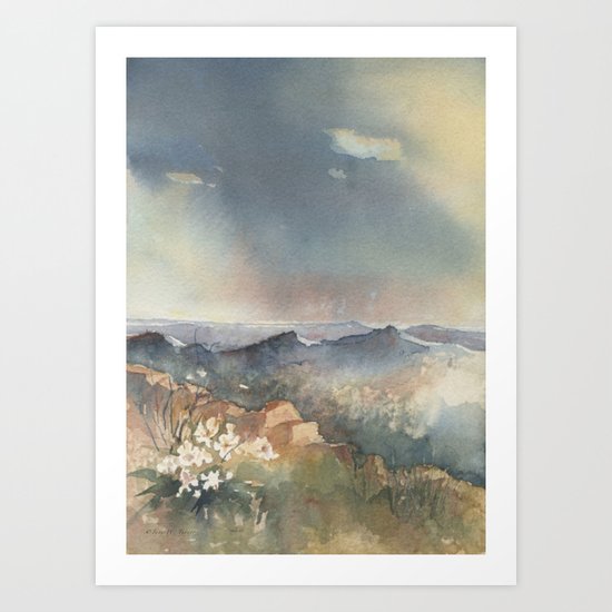 Desert Poppy Art Print