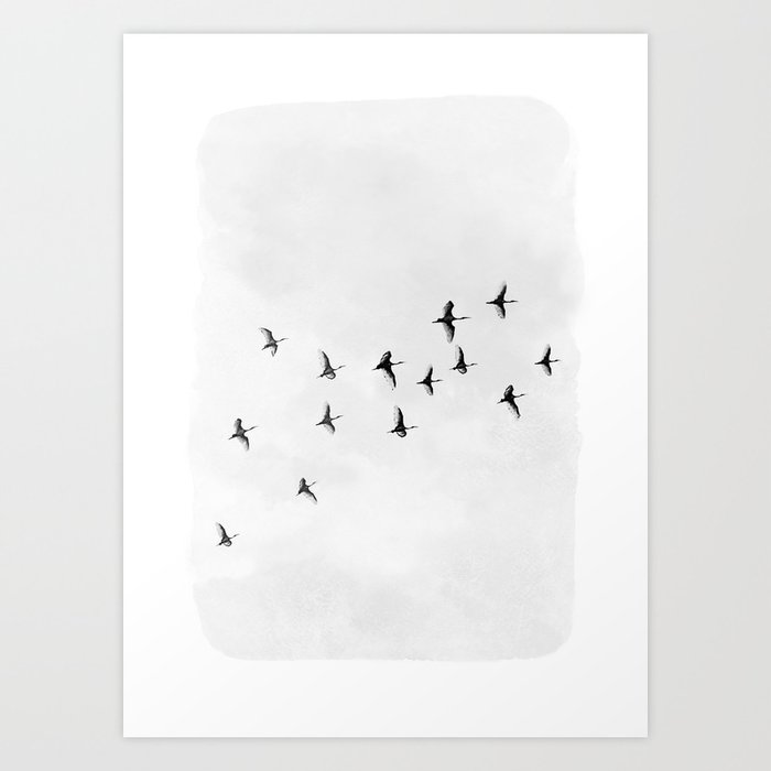 Flock of Birds Art Print