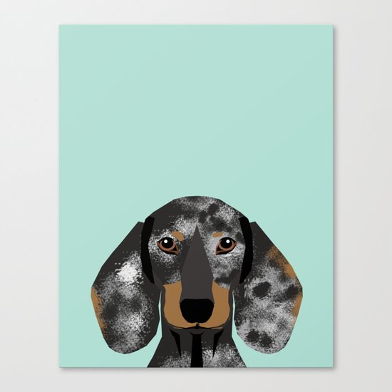 Doxie Dachshund merle dapple dog cute must have dog accessories dog gifts cute doxies dachshunds des Canvas Print