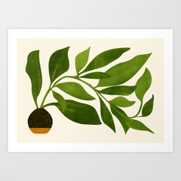 The Wanderer - House Plant Illustration Art Print | Plant, Illustration, Houseplant, Curated, Nomad, Contemporary, Leaf, Boho, Artwork, Bohemian 