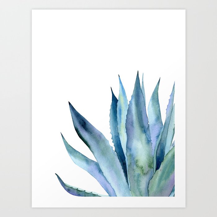 Blue agave plant. Art Print