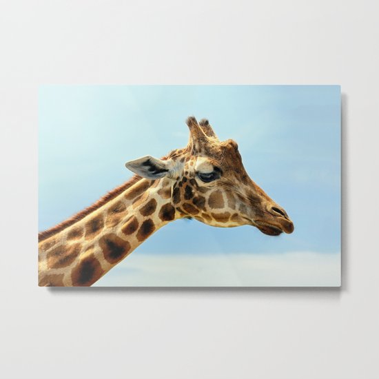Jeffery the Giraffe Metal Print