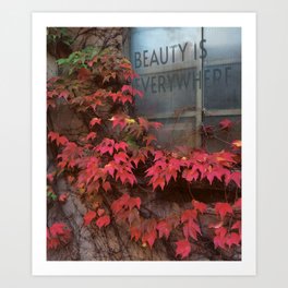 Red ivy on window "Beauty Is Everywhere" quote Art Print